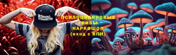 гашик Алексин