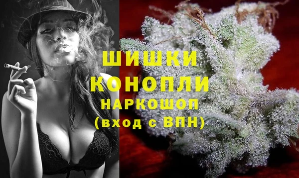 мдпв Надым