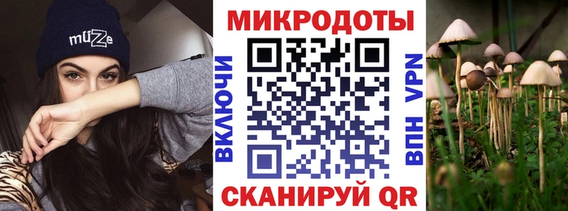 Псилоцибиновые грибы Cubensis  где купить наркотик  Киселёвск 